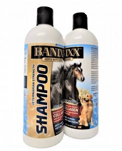 banixx shampoo