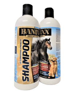banixx shampoo for horse mane and tail