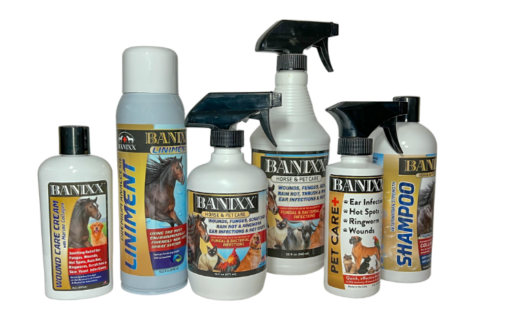 banixx spray remedy