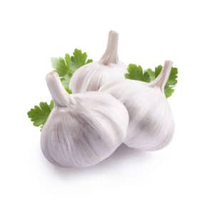 garlic for ear infections