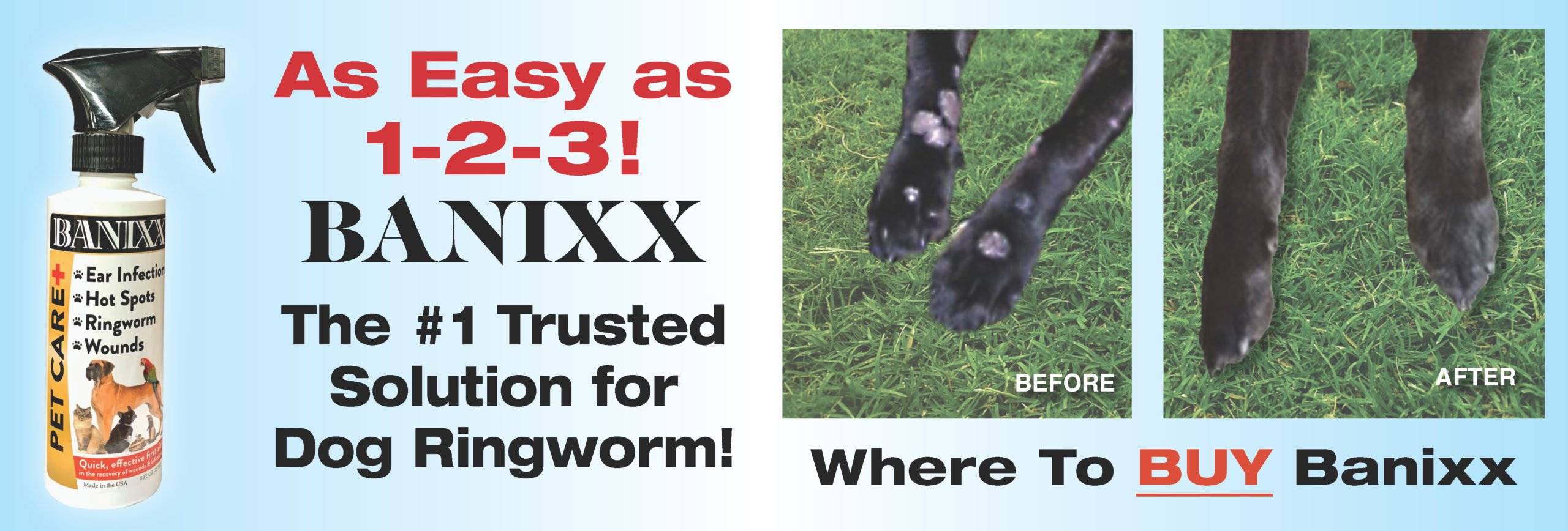 dog ringworm treatment