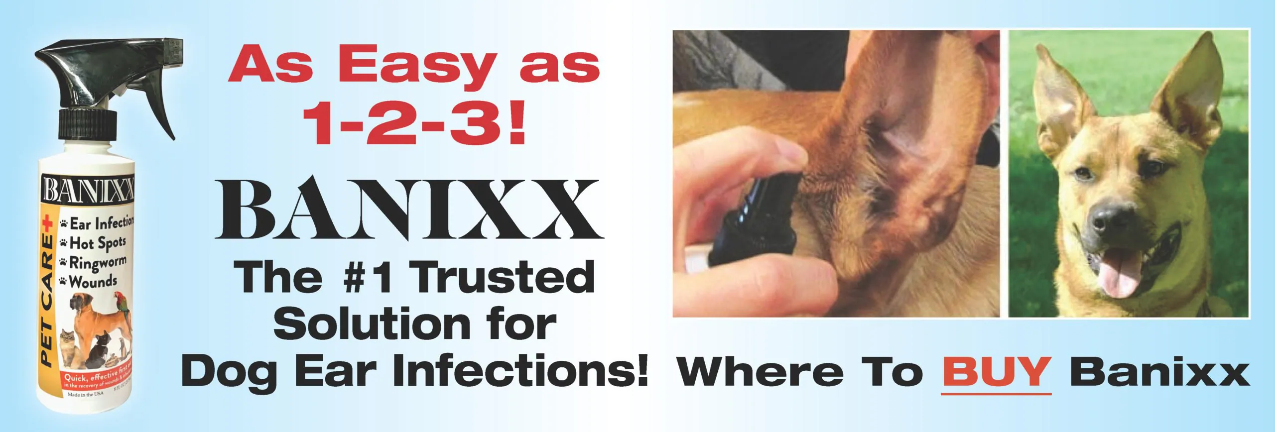 dog ear infection treatment
