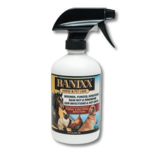 banixx horse spray