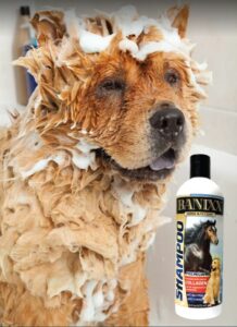 pet shampoo and conditioner