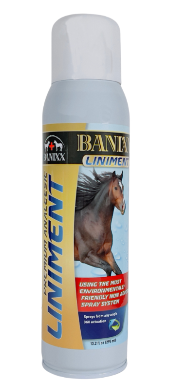 horse liniment spray