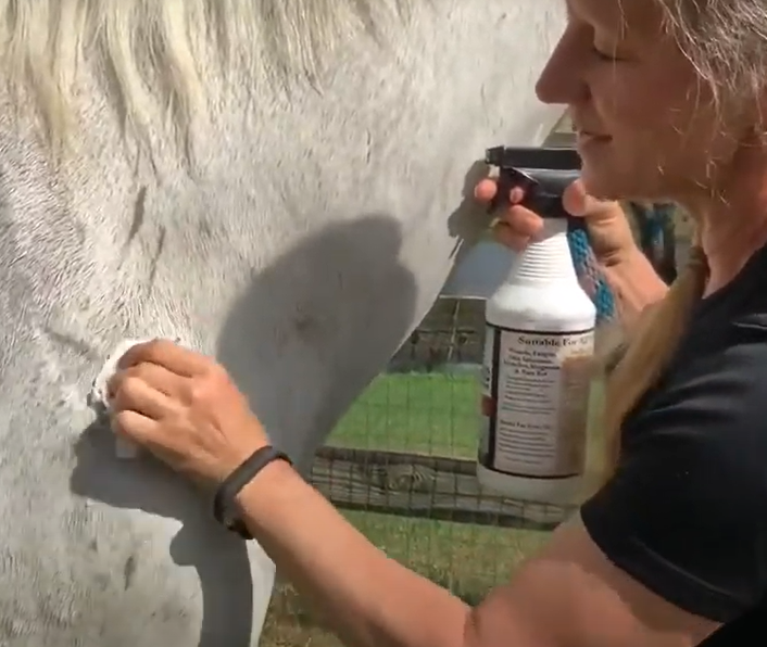  pet wipe for horses