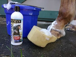 banixx horse shampoo