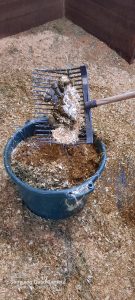compost horse manure